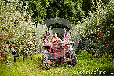 Young farmers on a tractor in the apple orchard