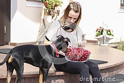 Young girl eating cherries with her dog