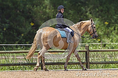 Young Girl Horse Equestrian