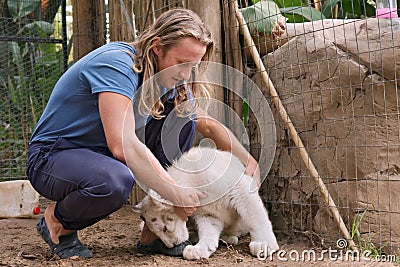 Young man makes friends with white lioness cub