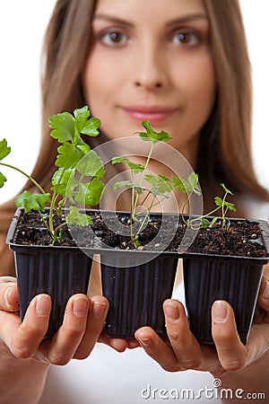 Young woman holding plant, celery sprout