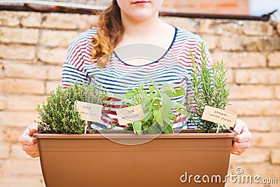 Young woman holding pot of aromatic herbs