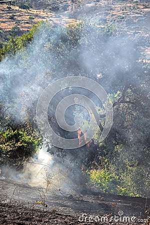 Zakynthos island low scale fire in volimes July 03 2013,Greece