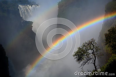 Zambesi river and Victoria Falls. Zimbabwe