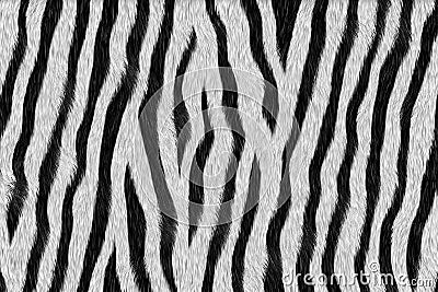 Zebra - animal fur