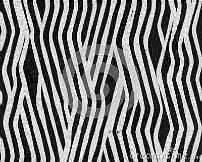 Zebra complex pattern short fur