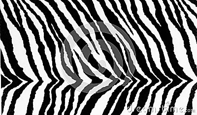 Zebra textile print background texture