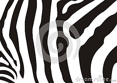 Zebra texture