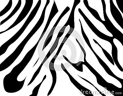 Zebra texture Black and White