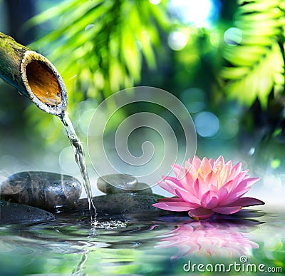 Zen garden with black stones and waterlily