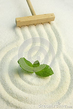 Zen garden with green leaf