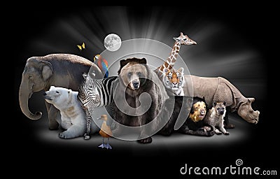 Zoo Animals at Night with Black Background