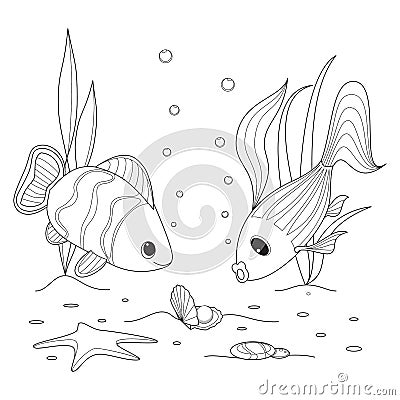 与珍珠的壳,鱼游泳,海星