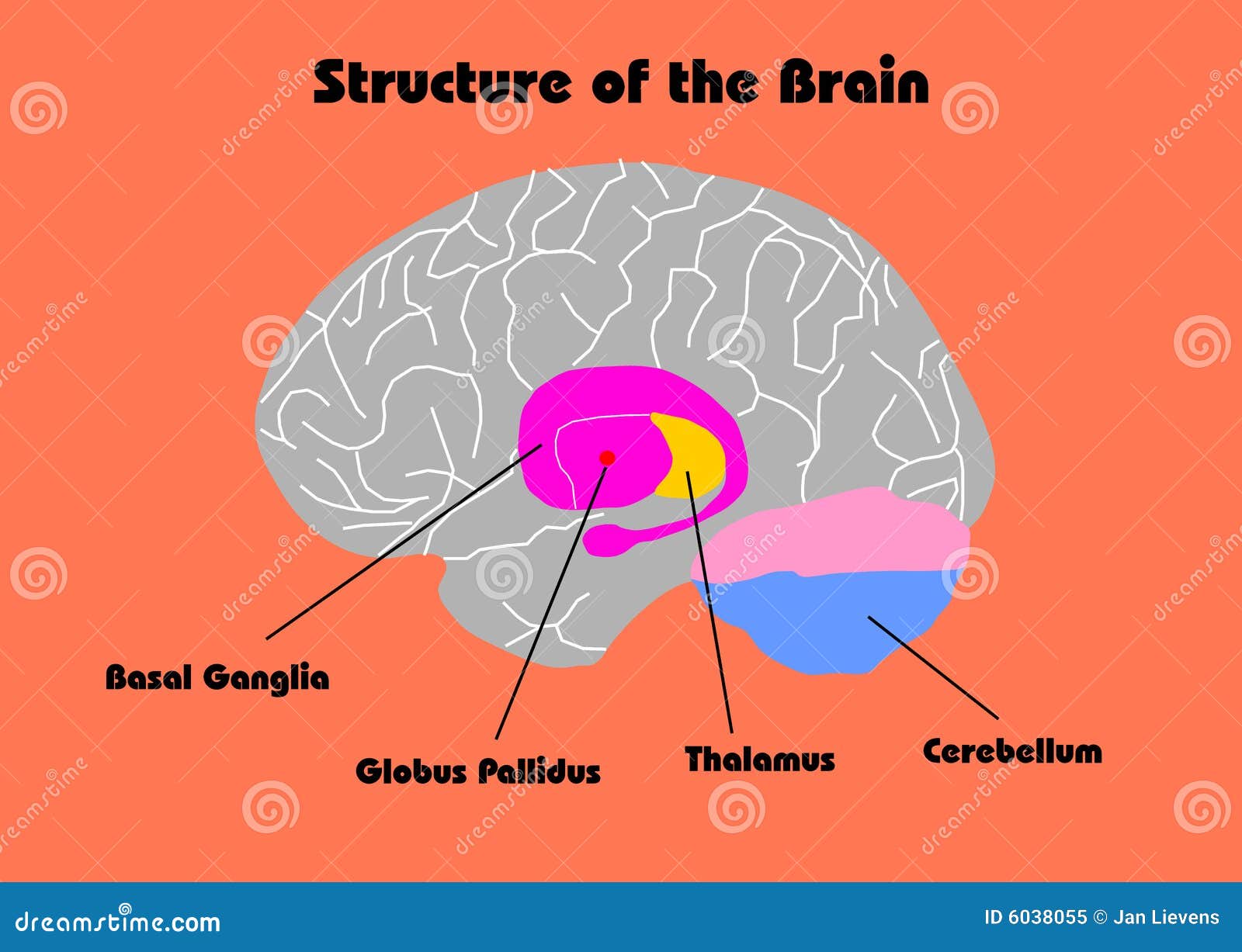 download glioblastoma a medical dictionary bibliography