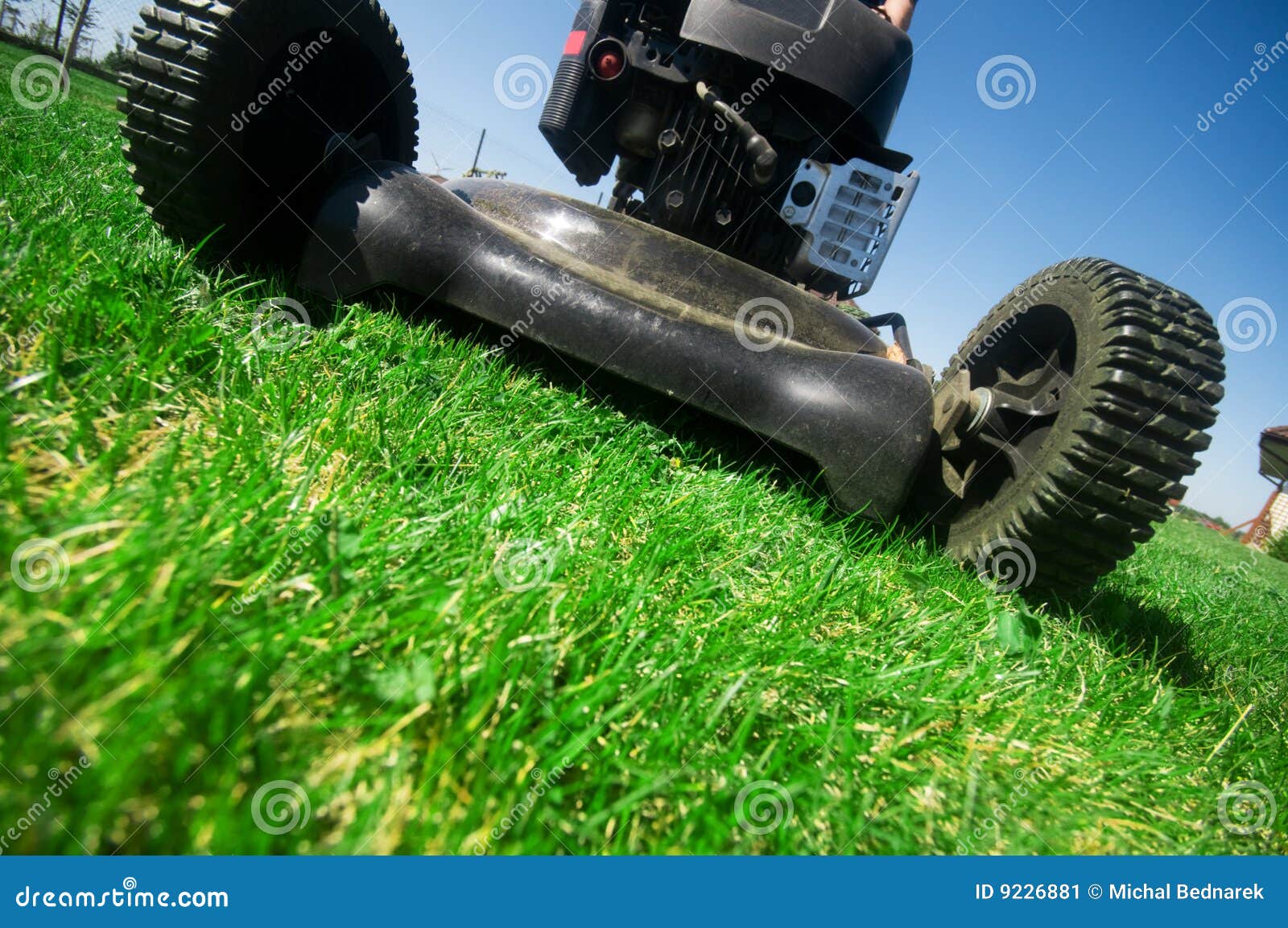 the lawn mower