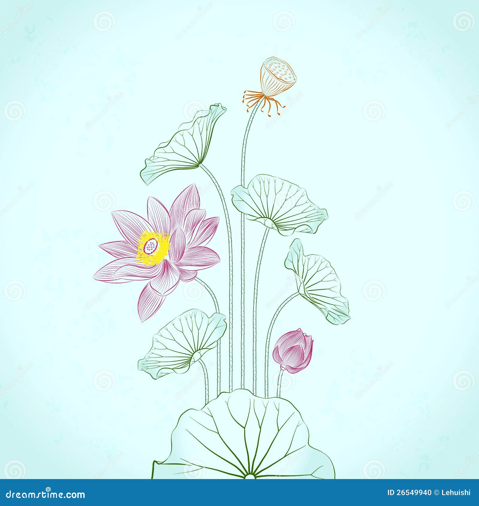 莲花在传统墨水的绘画,线描和画笔样式.图片