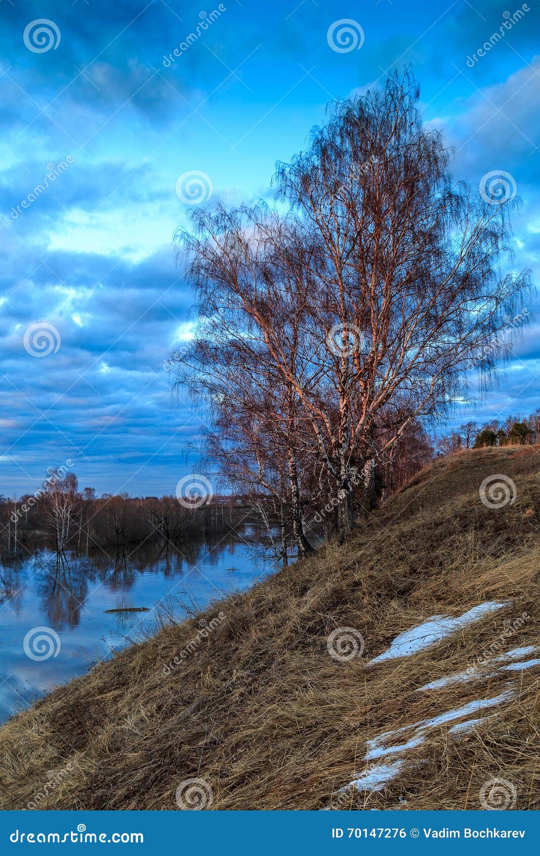 春天风景,在河的一陡峭的河岸的桦树
