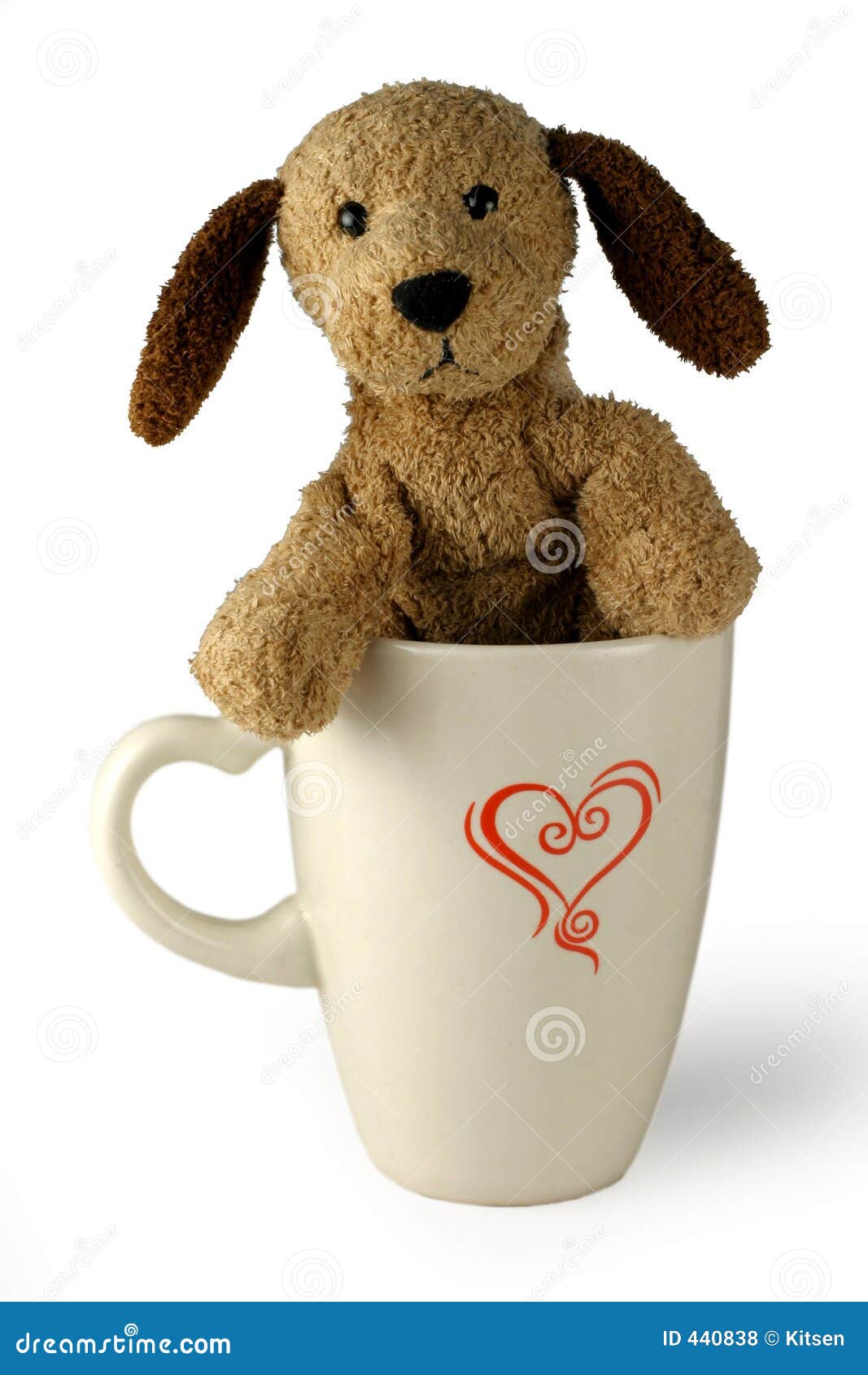 微小杯子狗隐藏的茶 库存图片. 图片 包括有 里面, 长期, 查出, 背包, 杯子, 交配动物者, 杂种 - 21716217