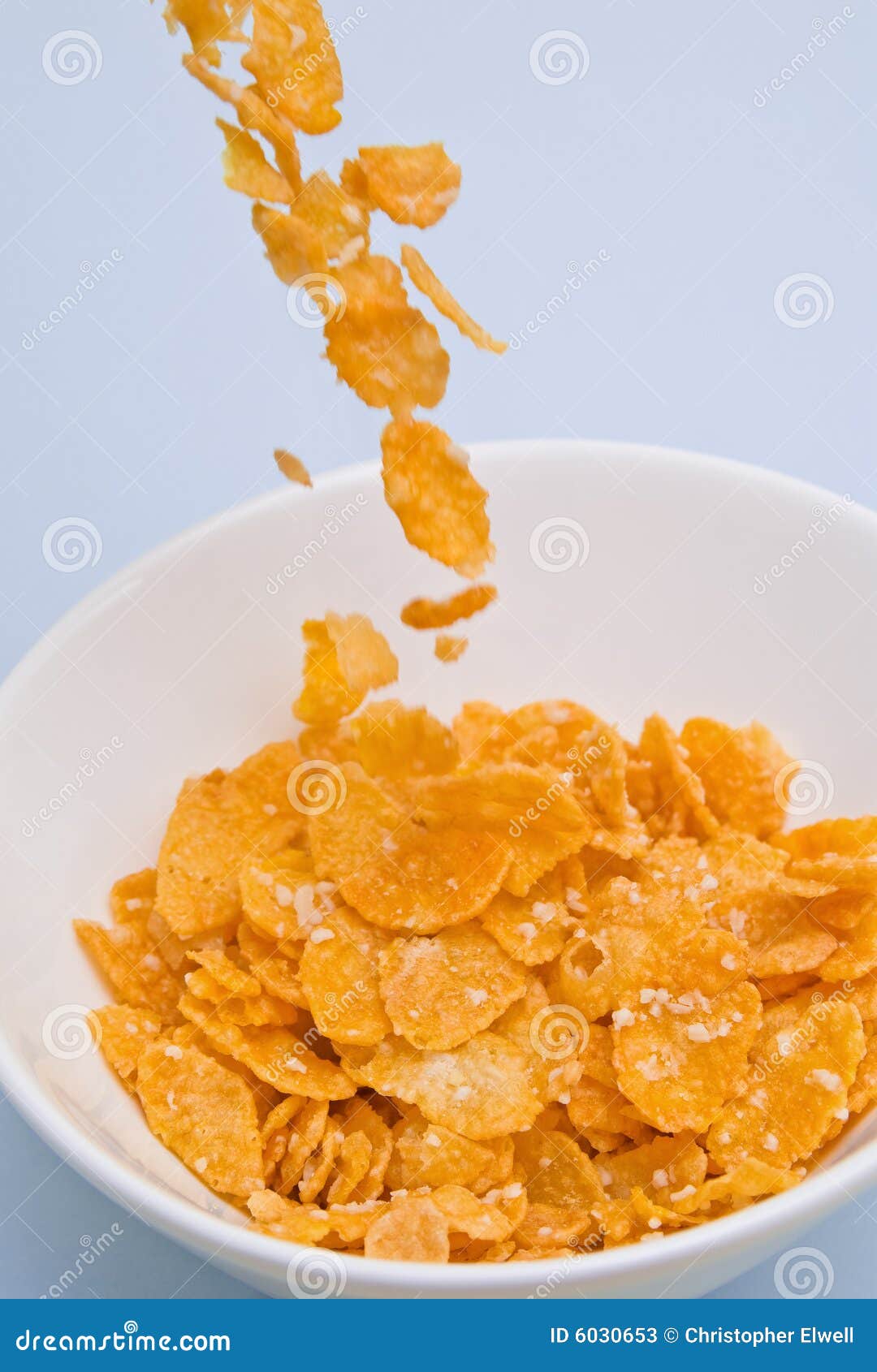 玉米片倾吐
