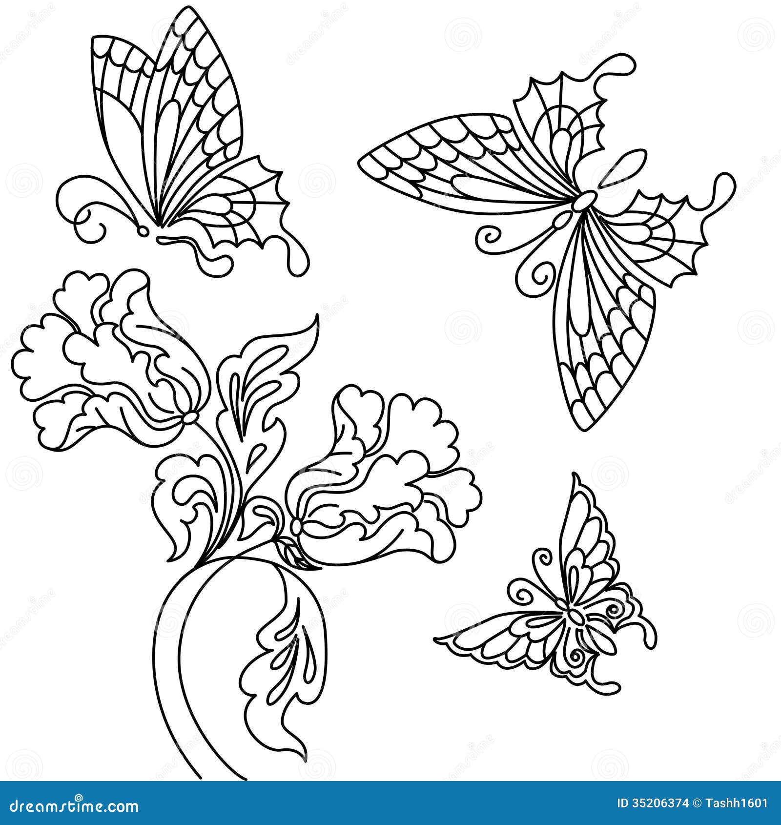 花和蝴蝶.黑白图画.图片