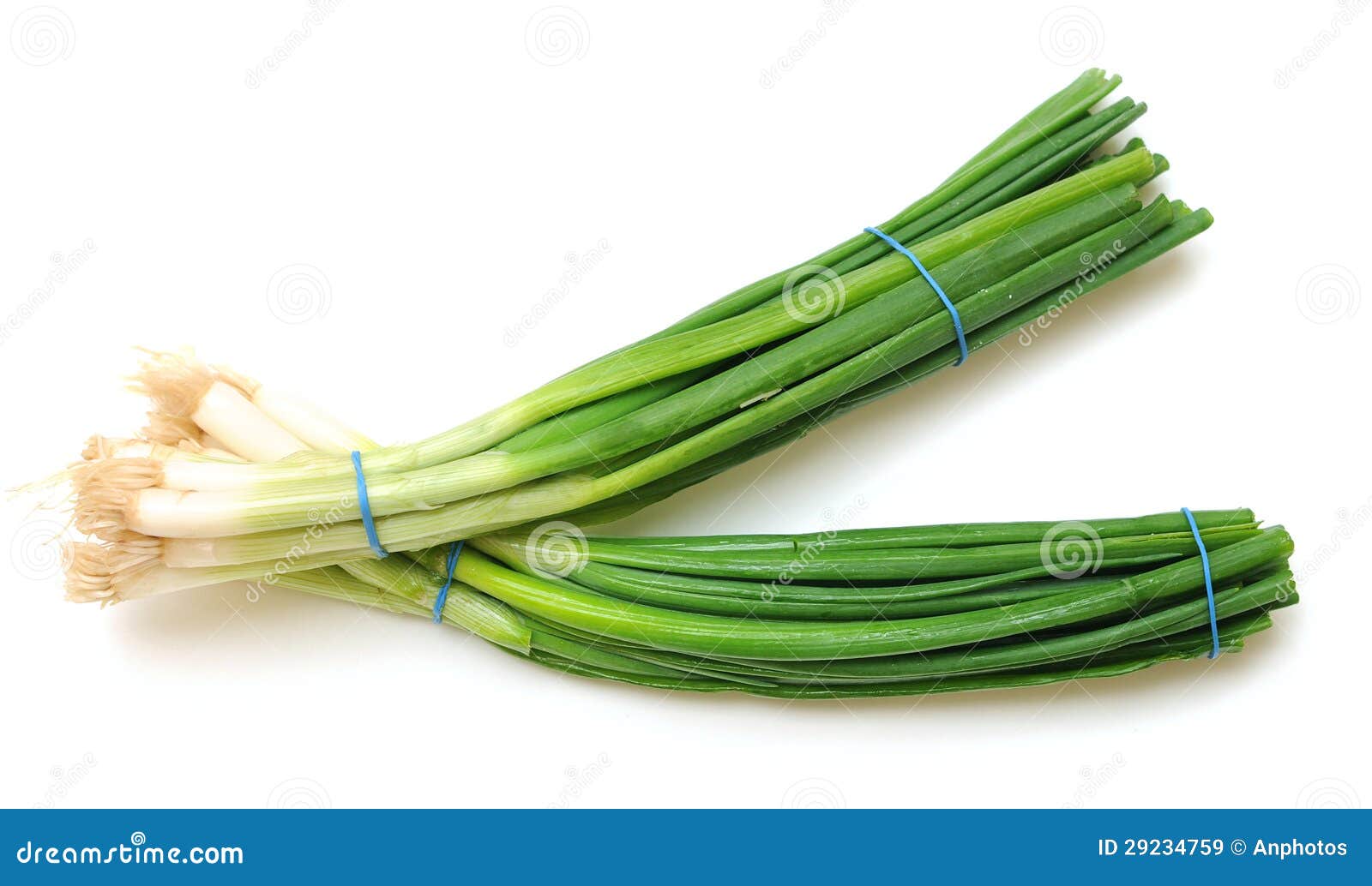 图片 包括有 绿色, 新鲜, 结构树, 叶子, 厨师, 食物, 厨房, 本质