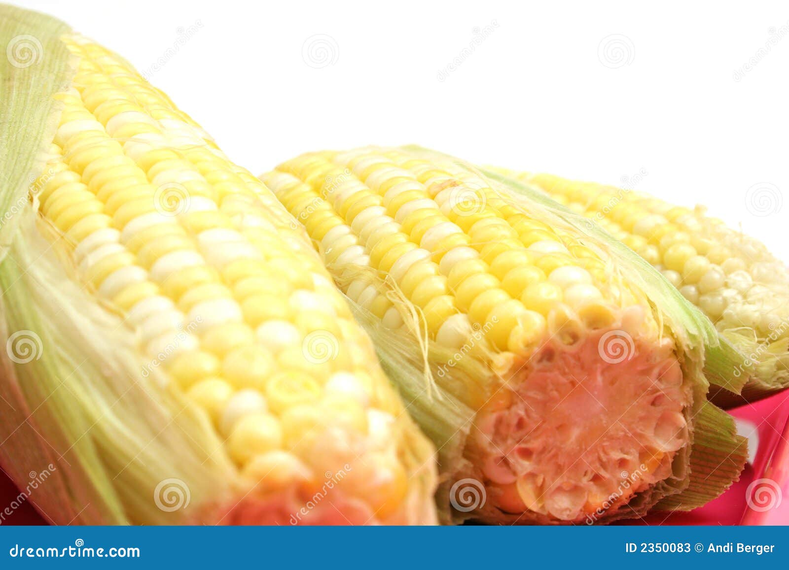 3 Ears Of Candy Corn Angle Stock Photos Image 2350083