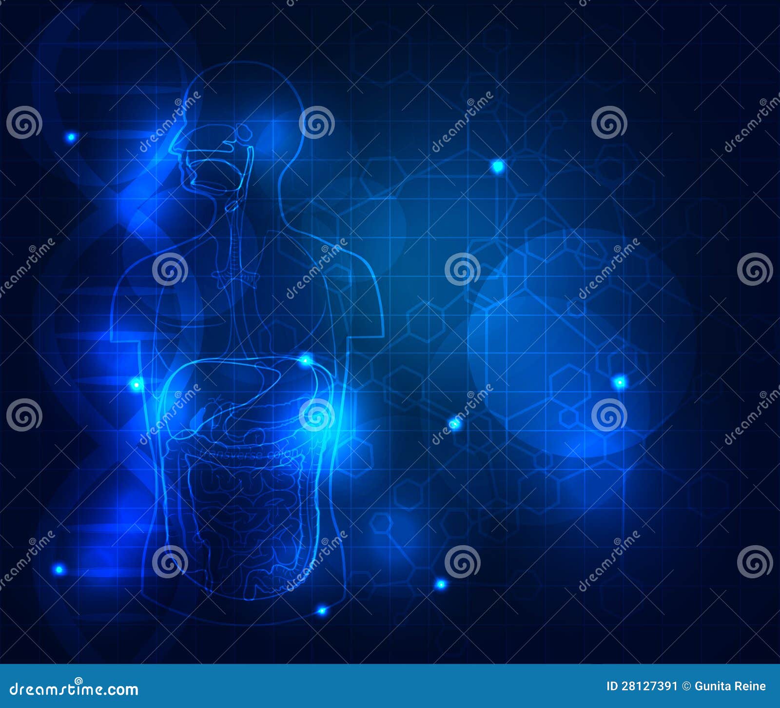 download biometric recognition: