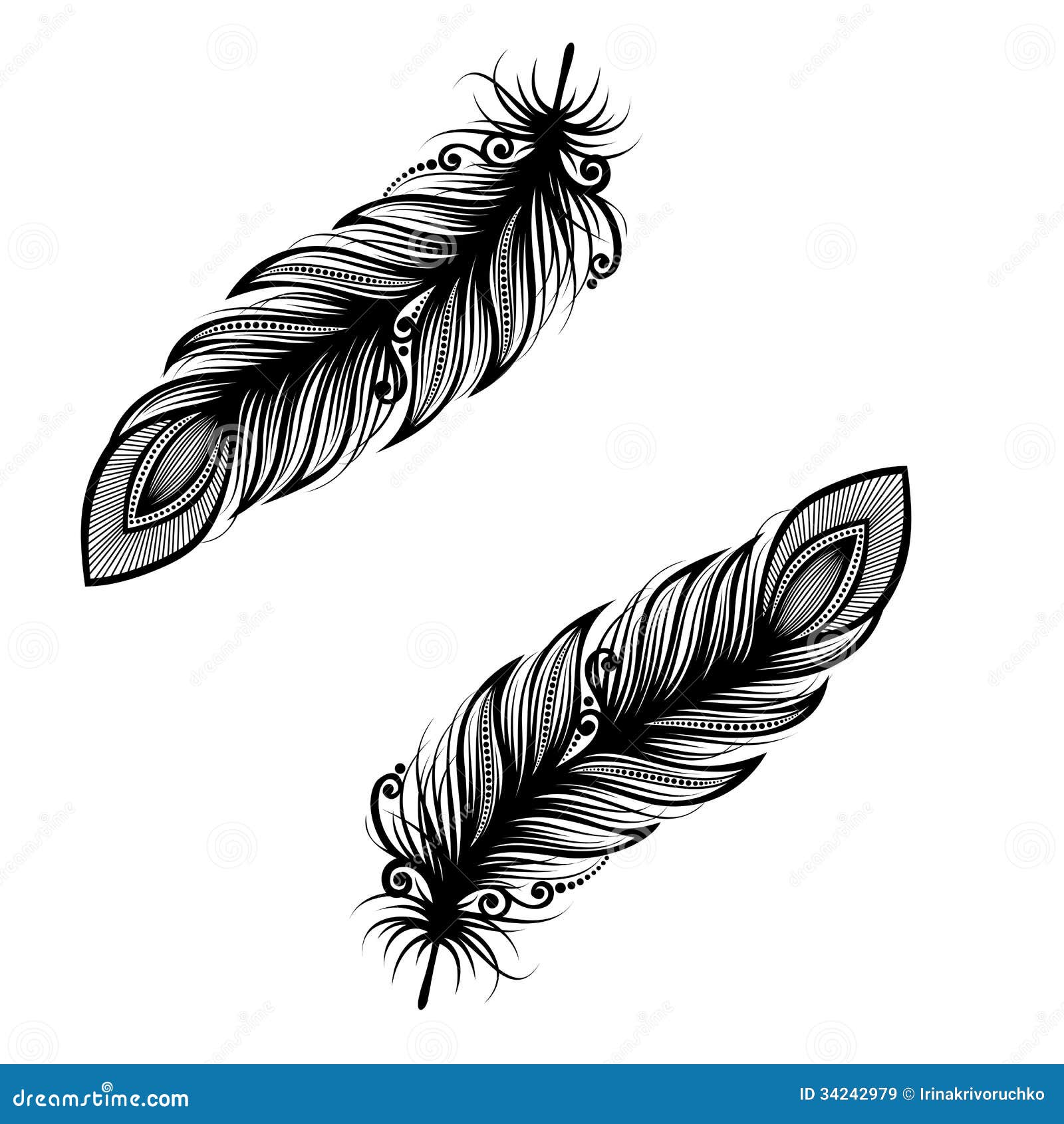 abstract feather bird royalty free stock images image abstract feather bird royalty free stock images image