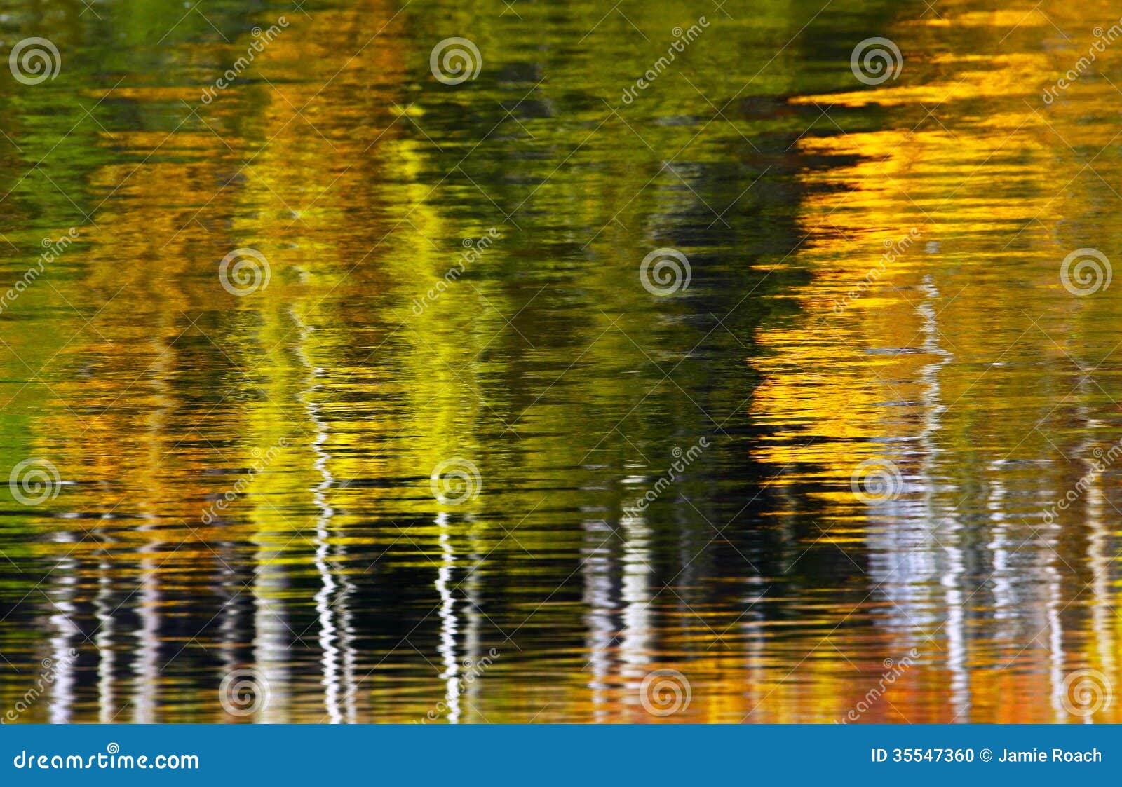 Abstract Trees Water Reflection Stock Photo Image 35547360