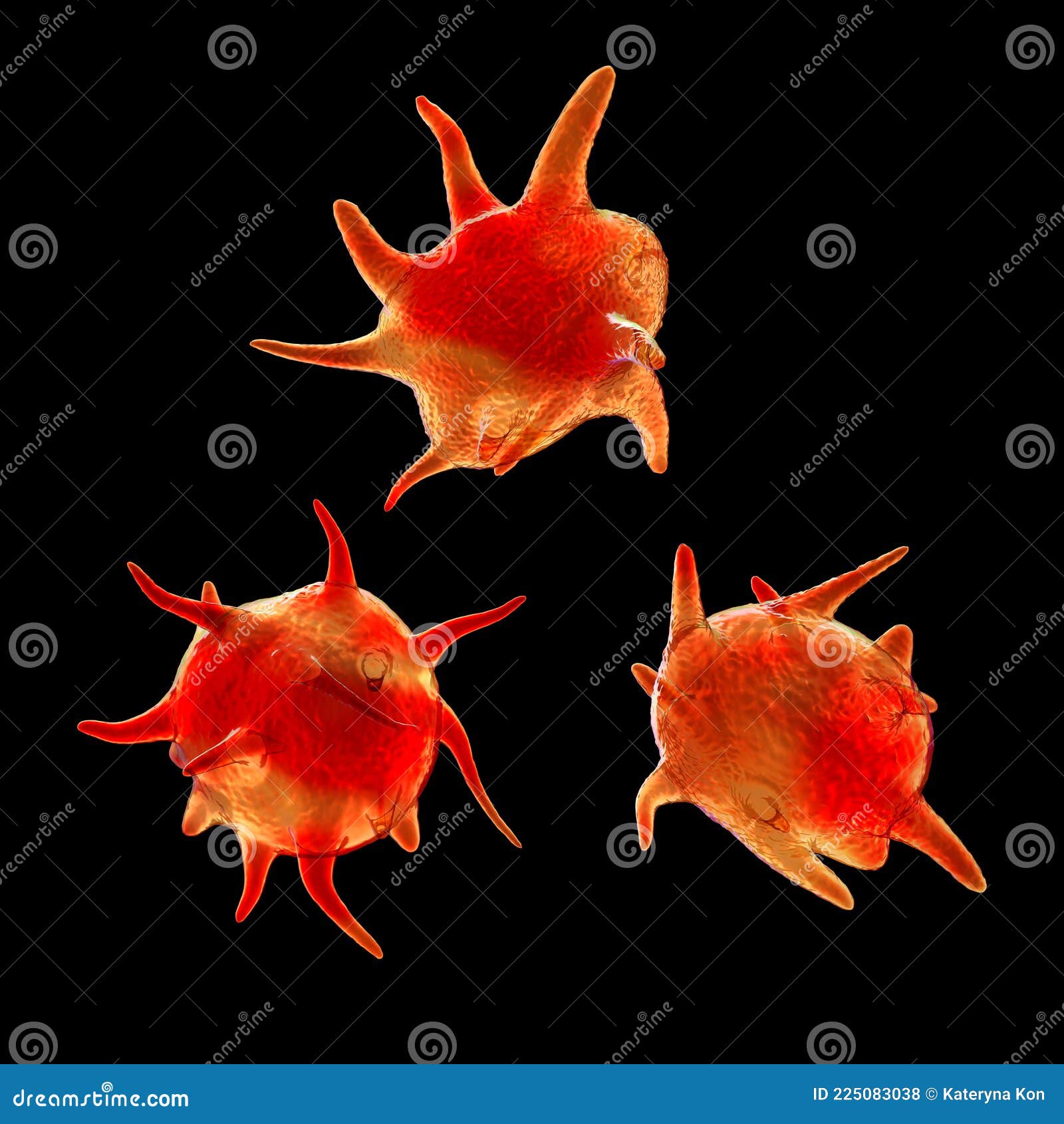 Activated Platelets Also Known As Thrombocytes Blood Cells