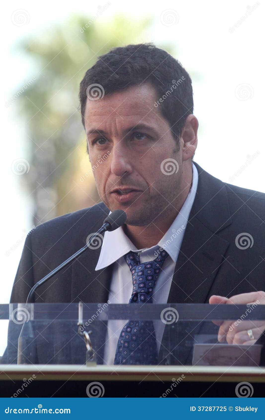 Adam Sandler an Adam Sandlers Stern auf dem Hollywood-Weg der Ruhmzeremonie, ...