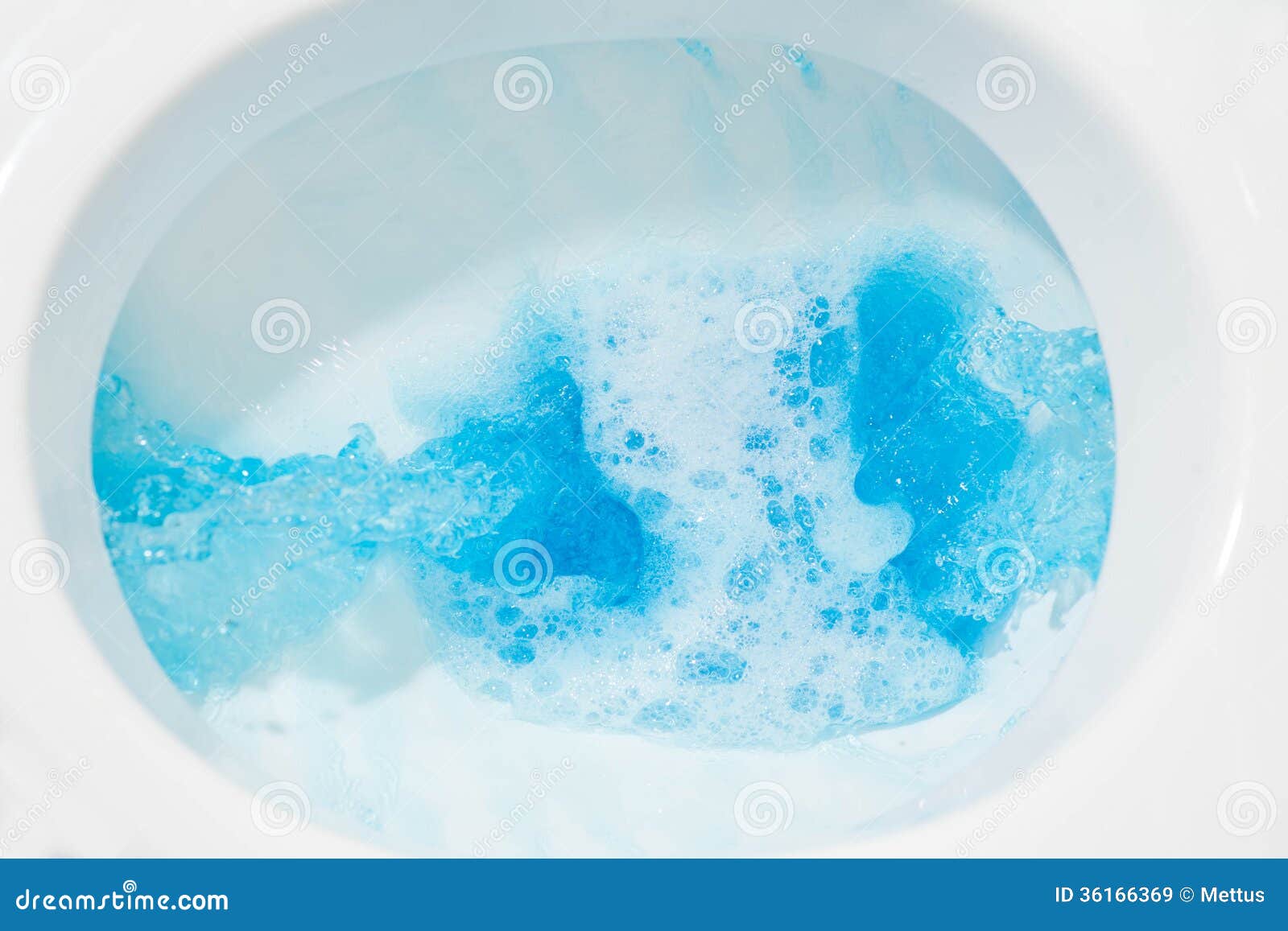 Agua Azul Del Primer De La Taza Del Inodoro Imágenes de archivo libres