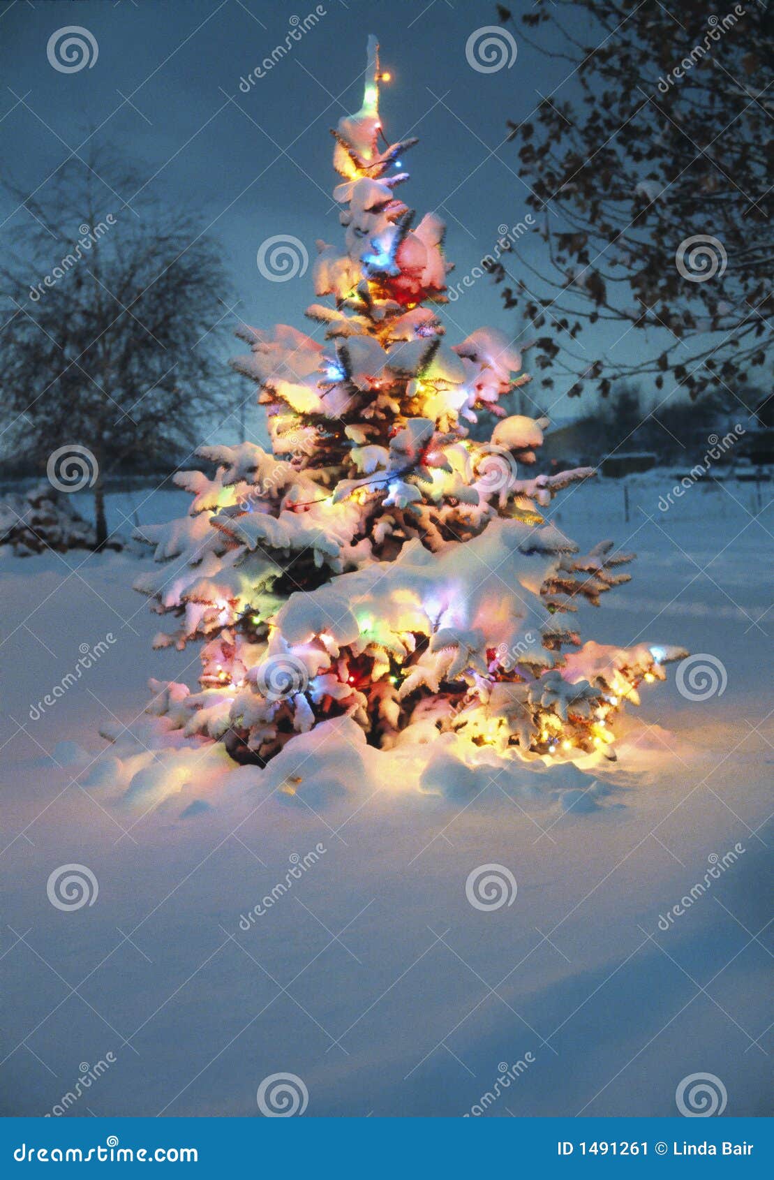 Albero Di Natale Innevato Realistico Albero Di Natale Innevato Immagine Stock - Immagine: 1491261