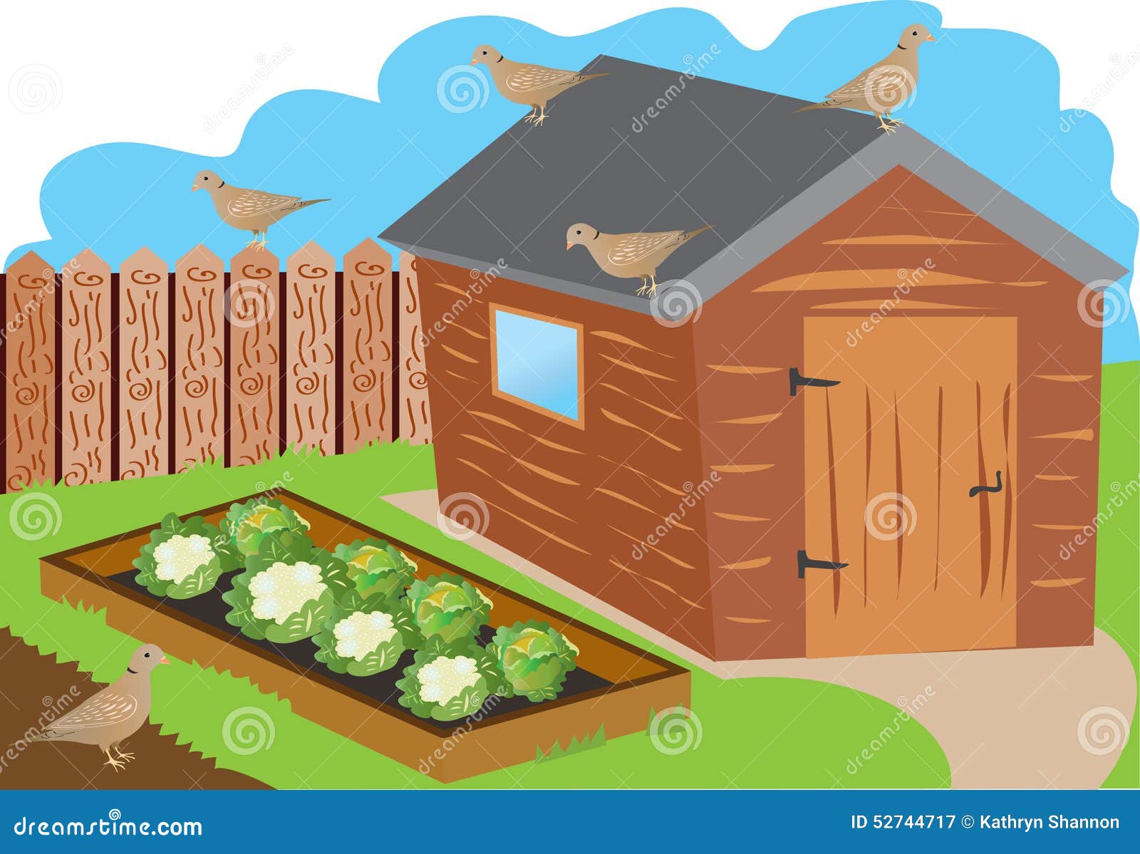 An illustration of a fenced allotment garden with shed,raised 