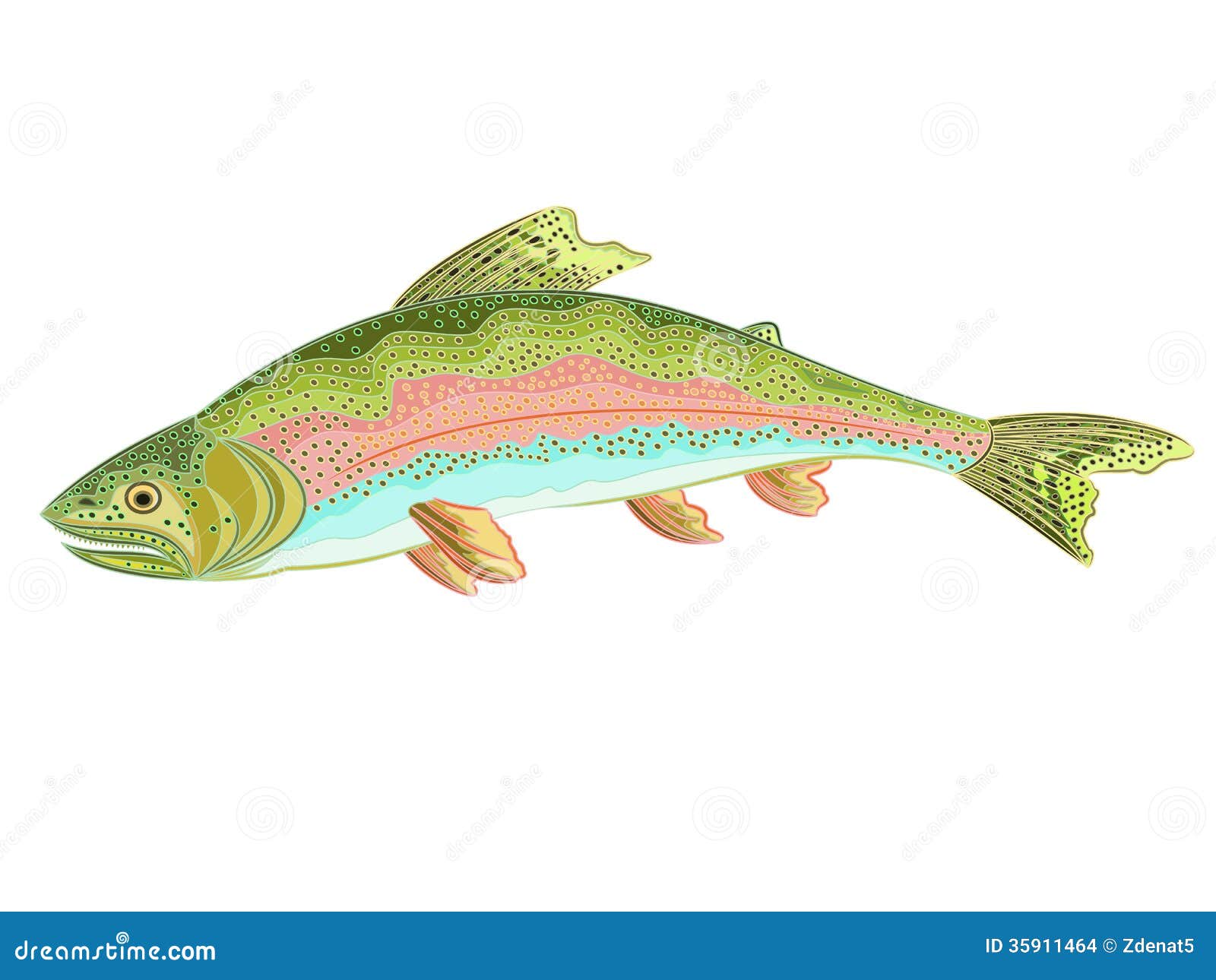clipart rainbow trout - photo #24