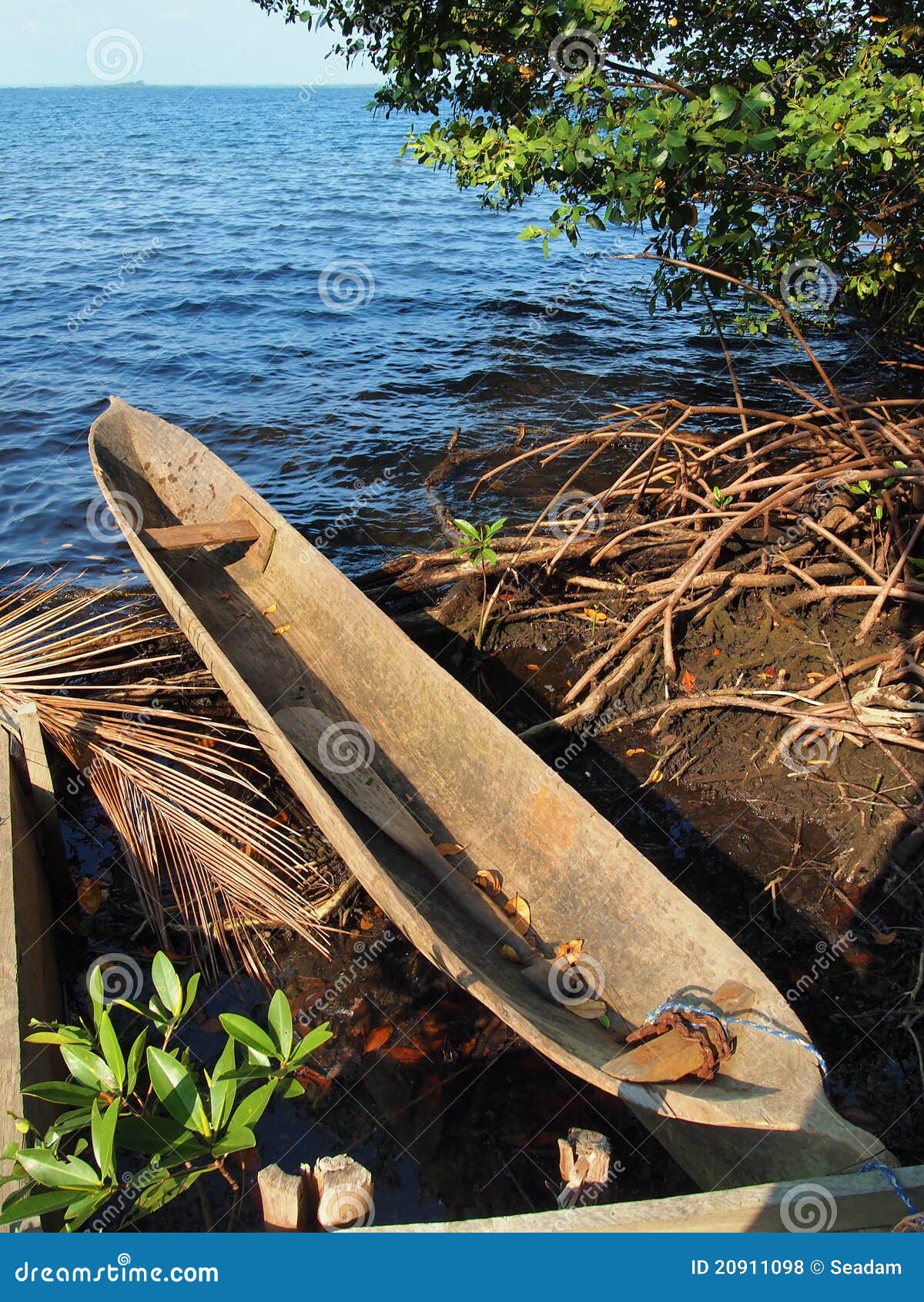 Amerindian Dugout Canoe Royalty Free Stock Photos - Image: 20911098