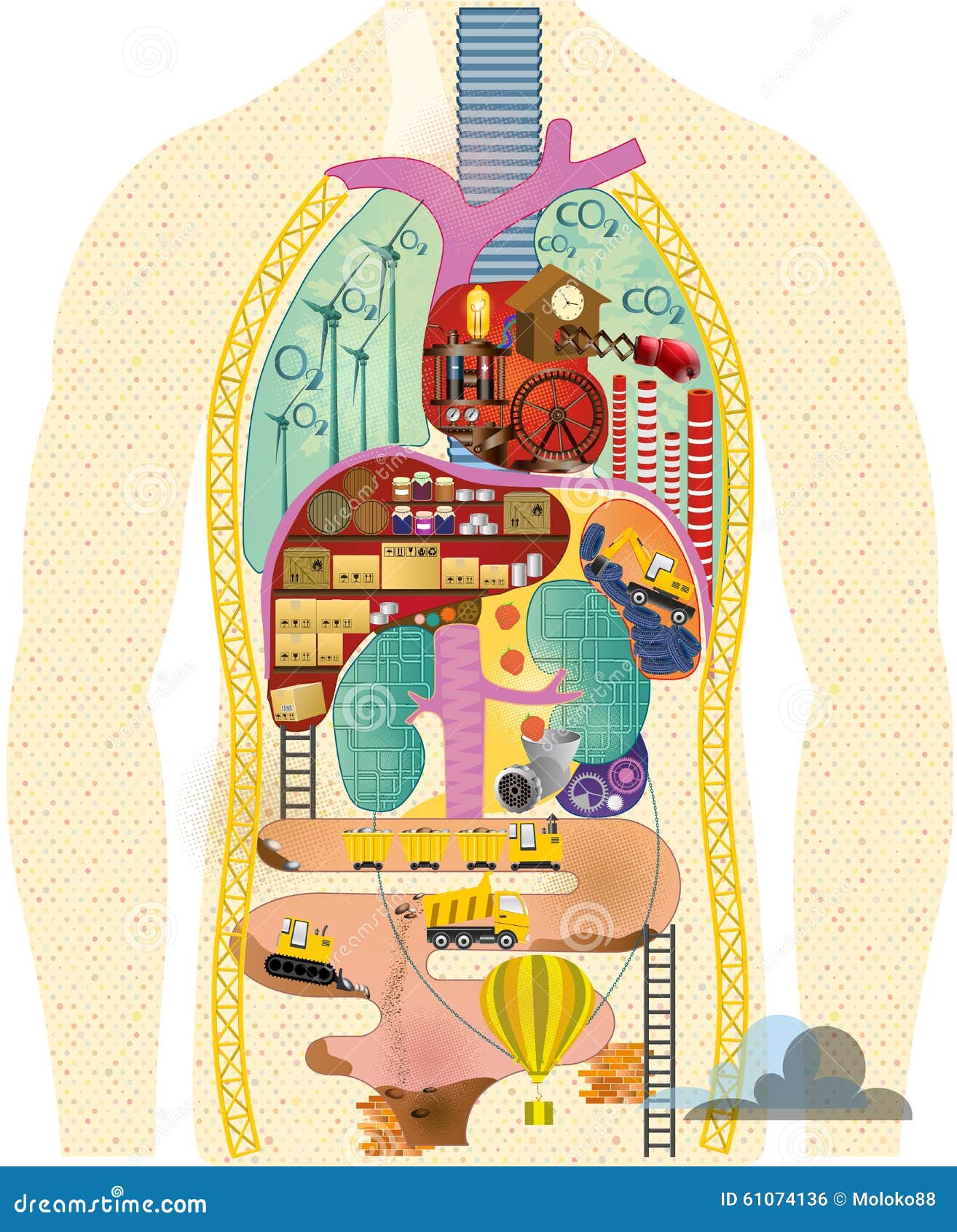 Anatomical Cartoon Map Stock Illustration - Image: 61074136