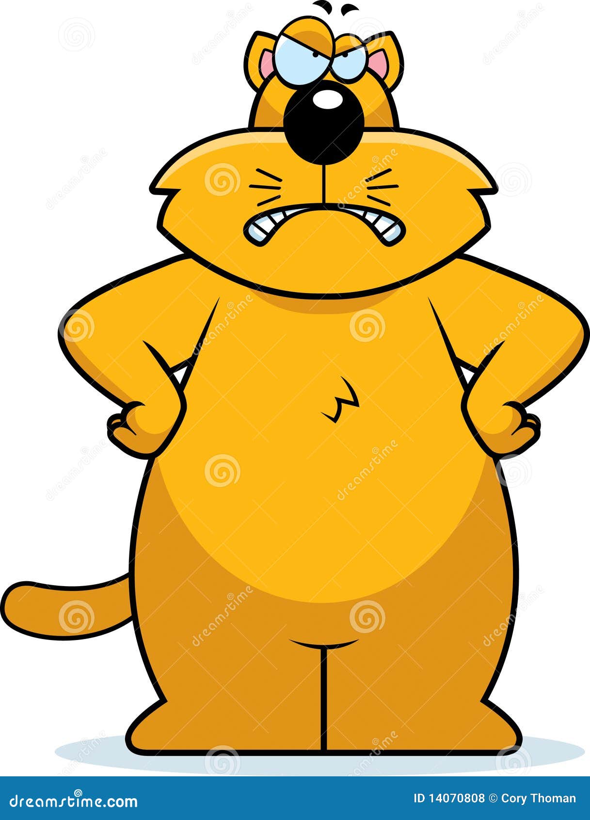 Angry Cat Royalty Free Stock Photos - Image: 14070808