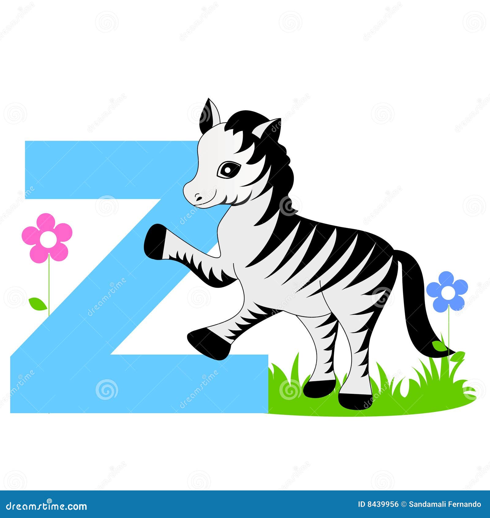 Animal A To Z