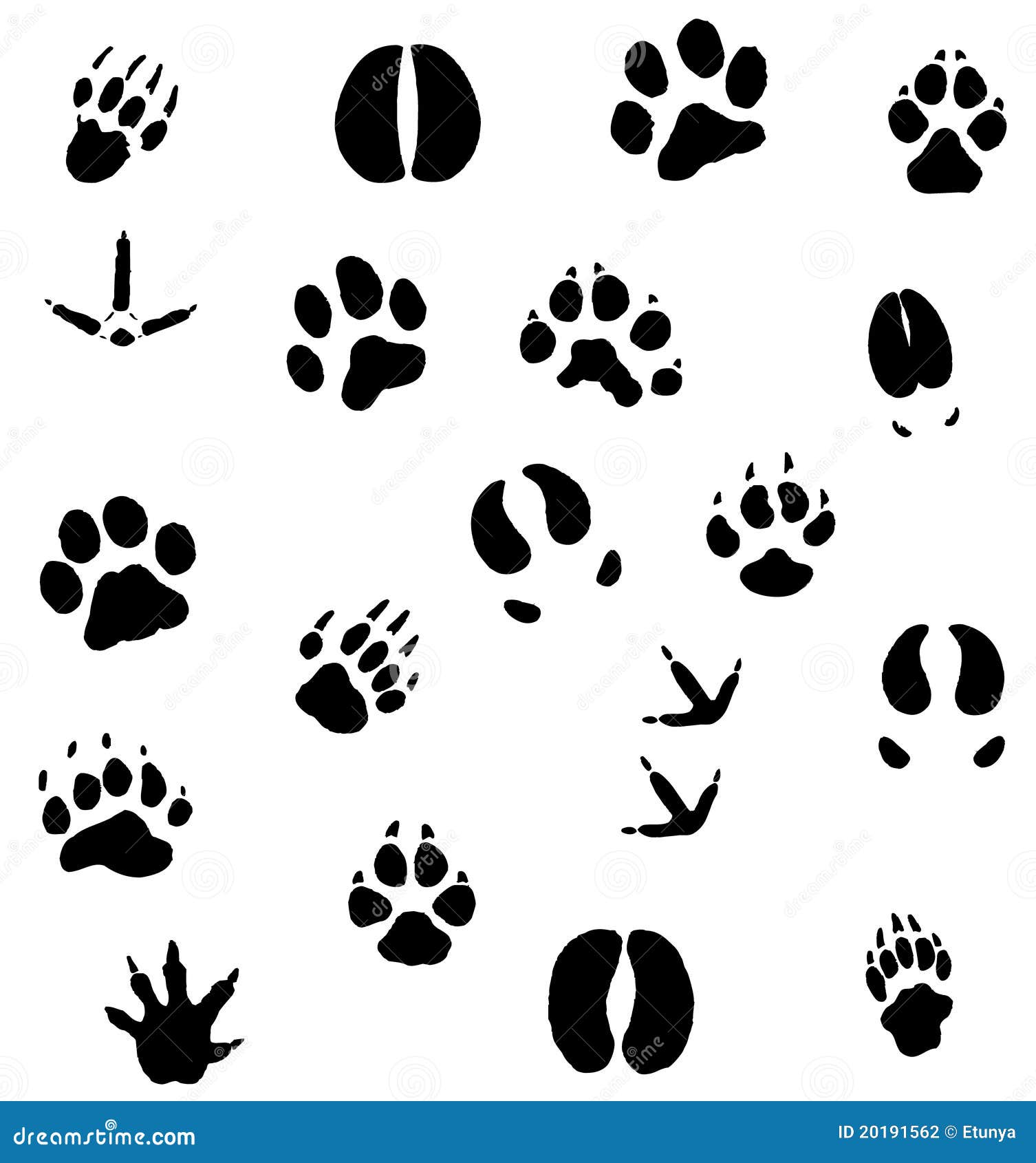 clip art animal footprints - photo #34