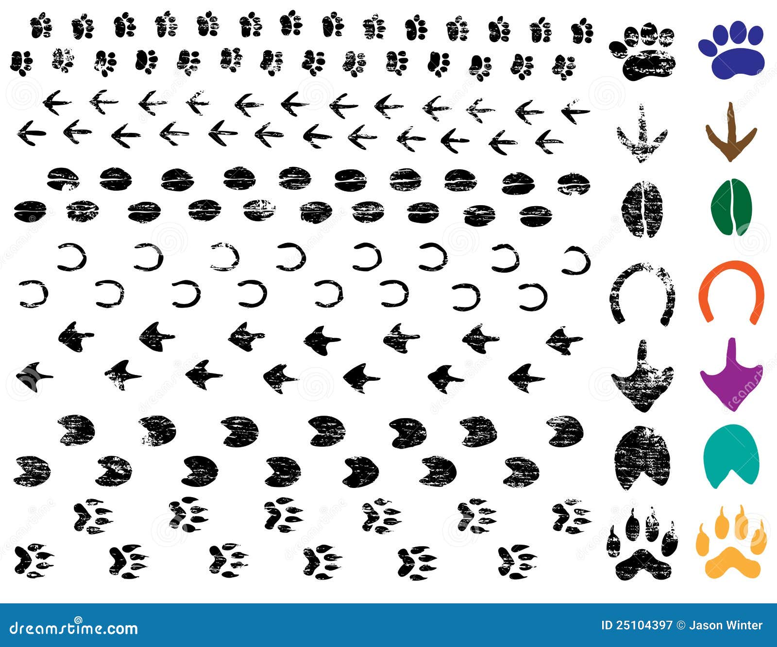 animal tracks clipart - photo #30