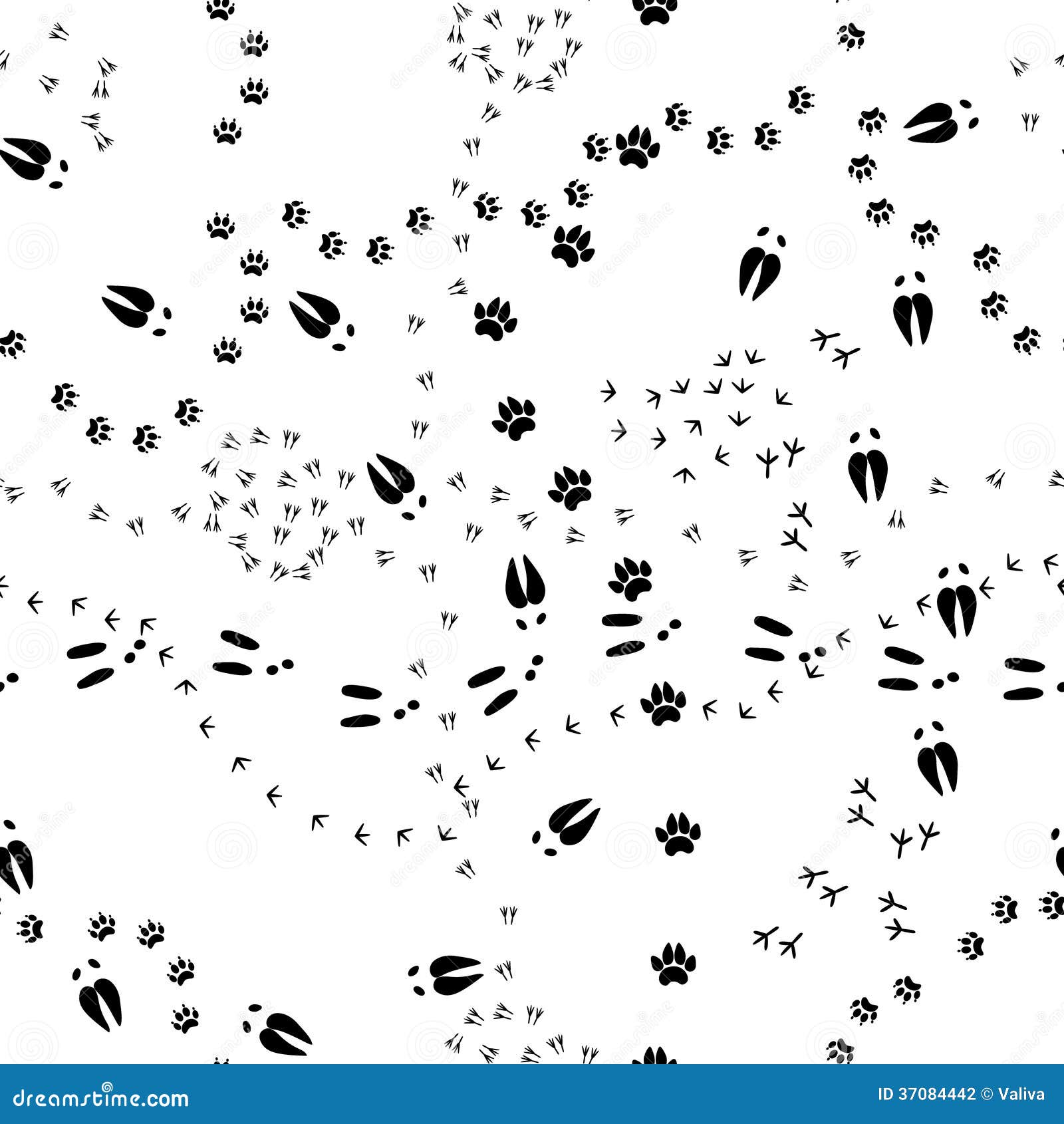 clip art animal footprints - photo #41