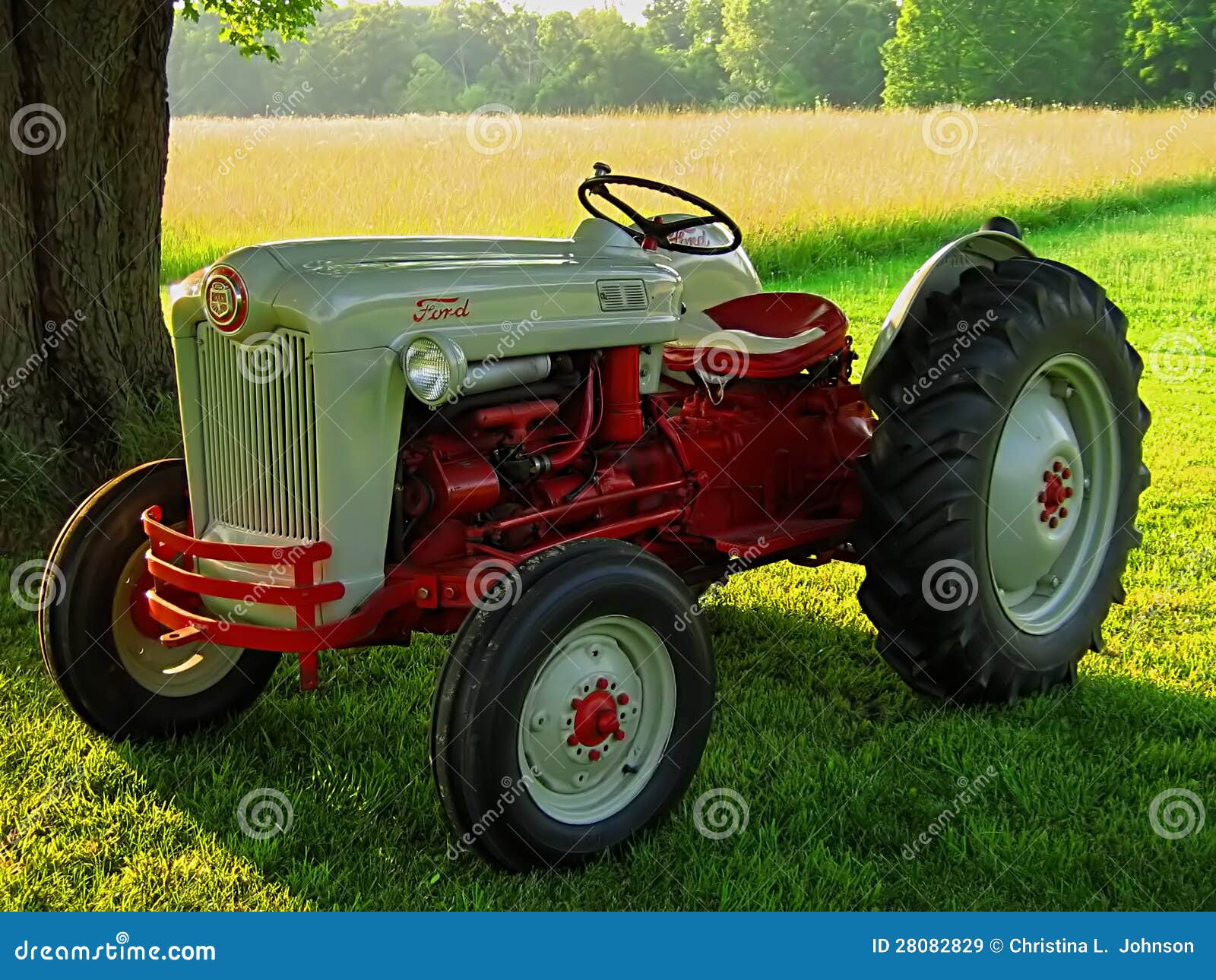 Vintage ford tractor identification #1