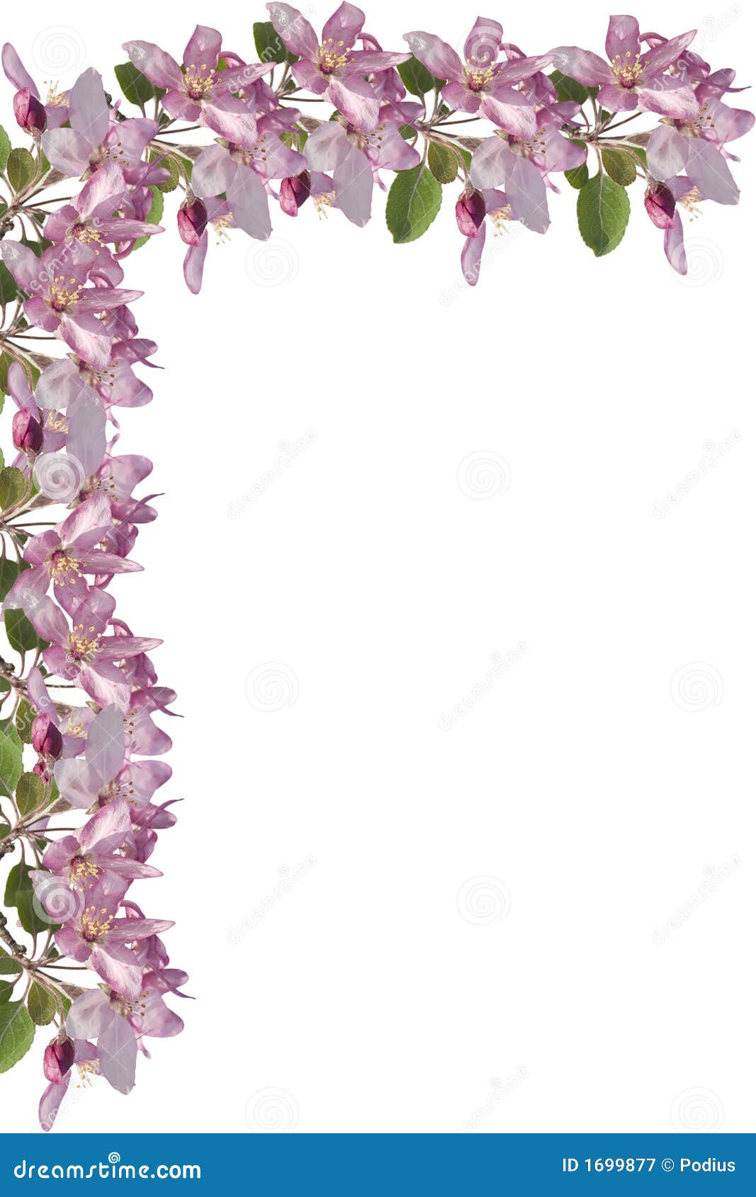 apple blossom border royalty free stock photography christmas plaid border