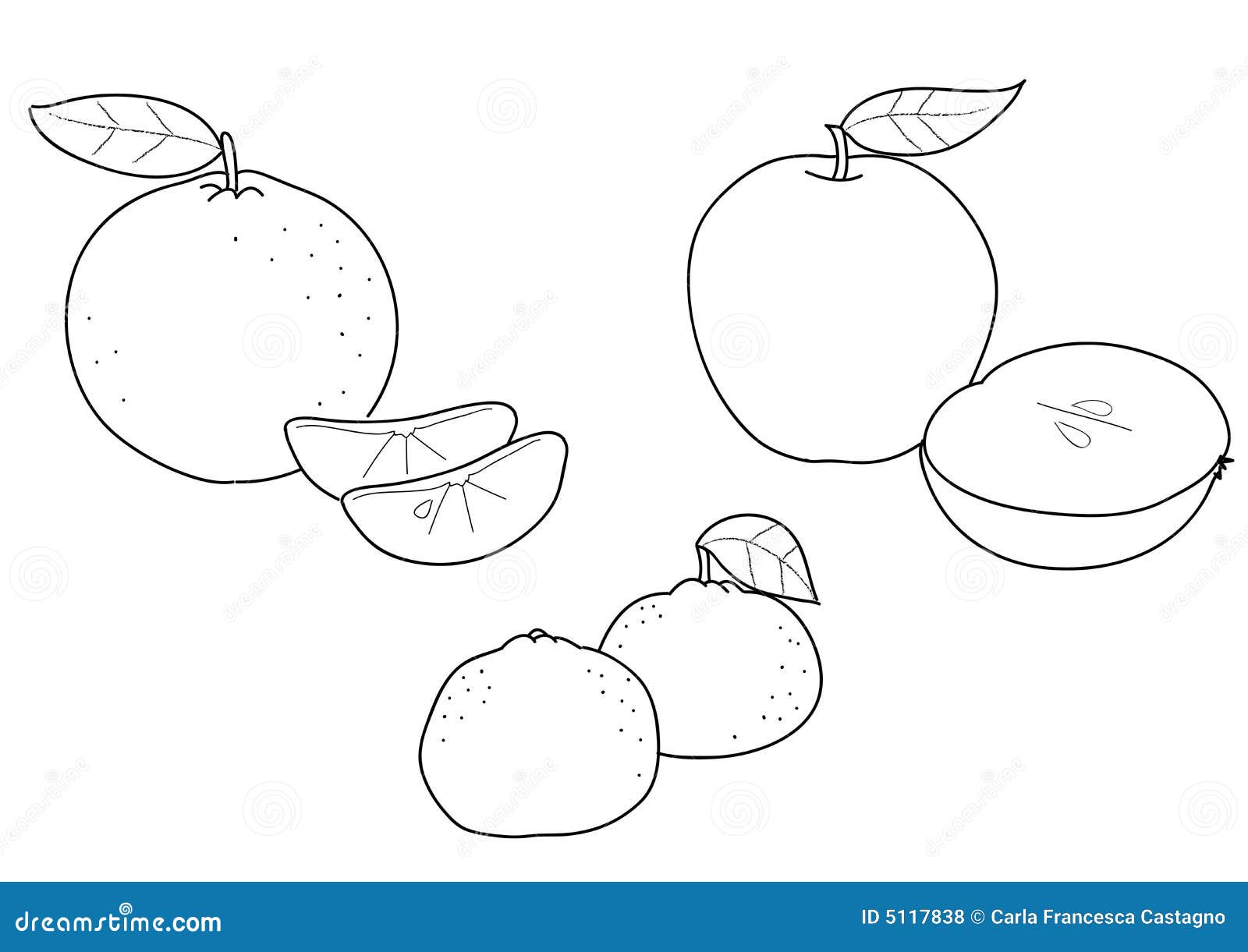 tangerine coloring pages - photo #13