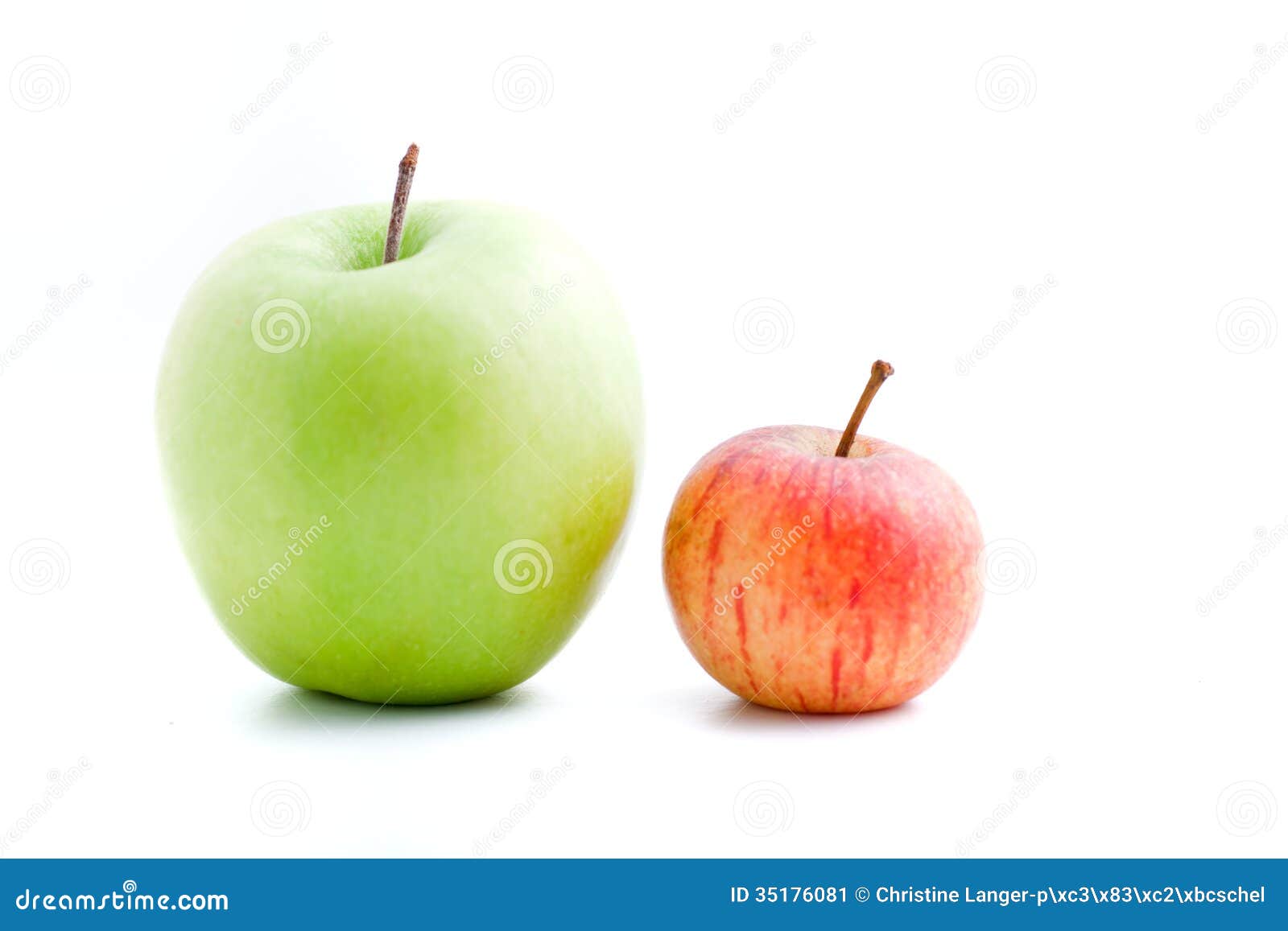 Green+Apple+Varieties Apple varieties with a large fresh green apple and small red apple ...