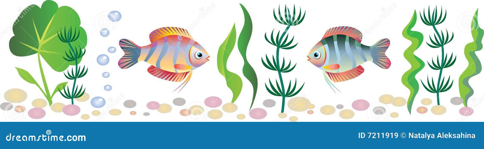 clip art fish border - photo #48