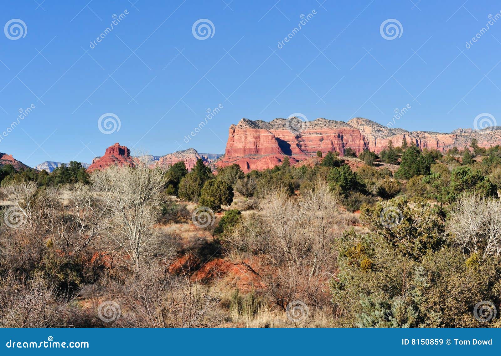 Arizona Desert Landscape