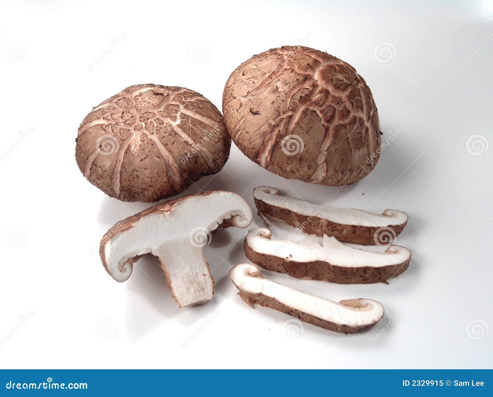 Asian Mushrooms 79