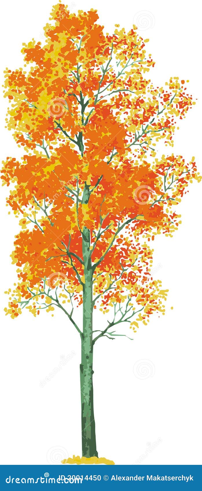 aspen tree clip art images - photo #10